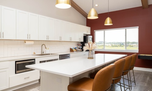 Check out Vestara 72 in Papillion, Nebraska Cover Image